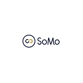 https://www.somo.co.uk/ bridging finance Connection www